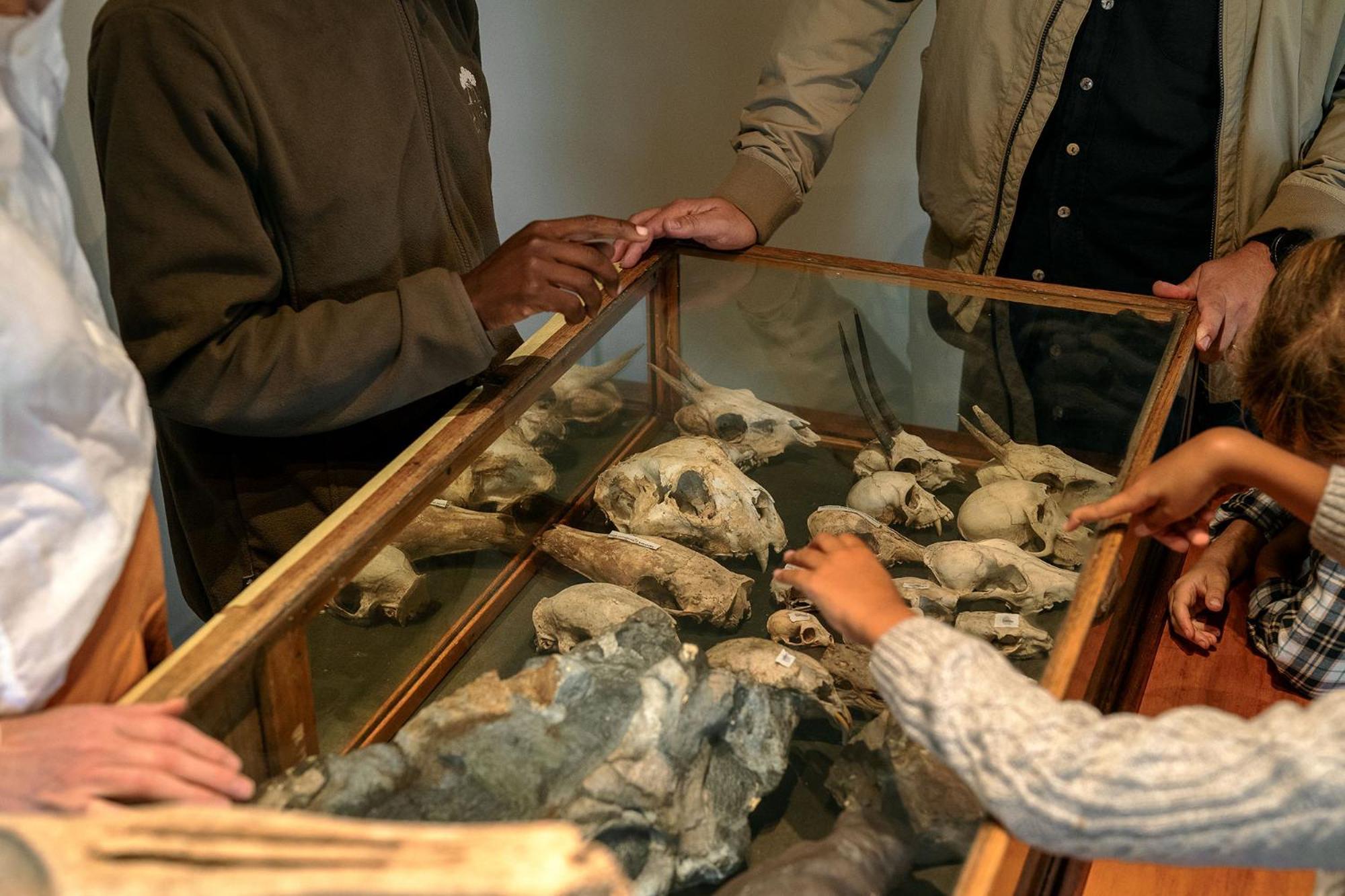 Samara Karoo Reserve Graaff-Reinet المظهر الخارجي الصورة