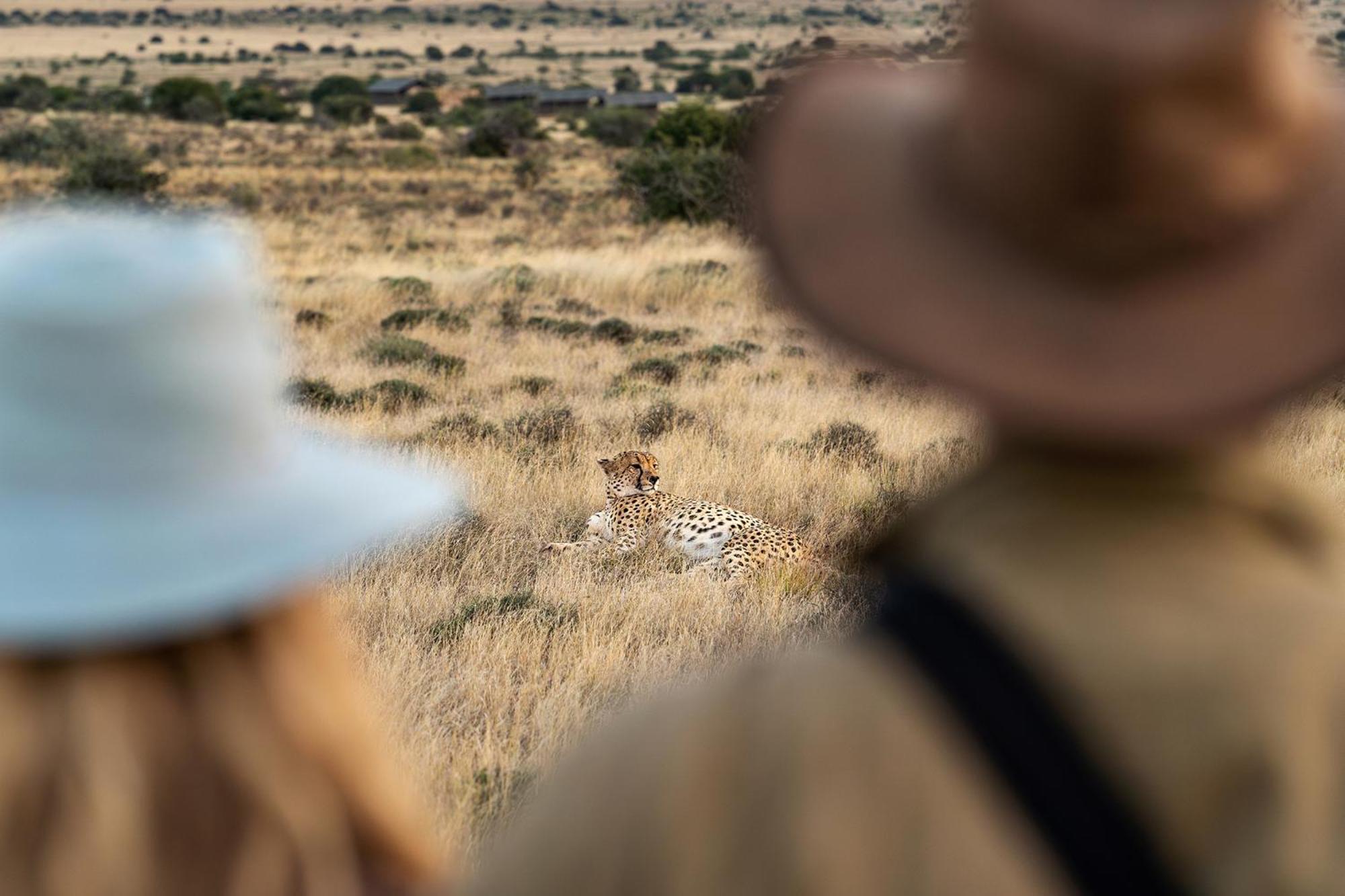 فيلا Samara Karoo Reserve Graaff-Reinet المظهر الخارجي الصورة