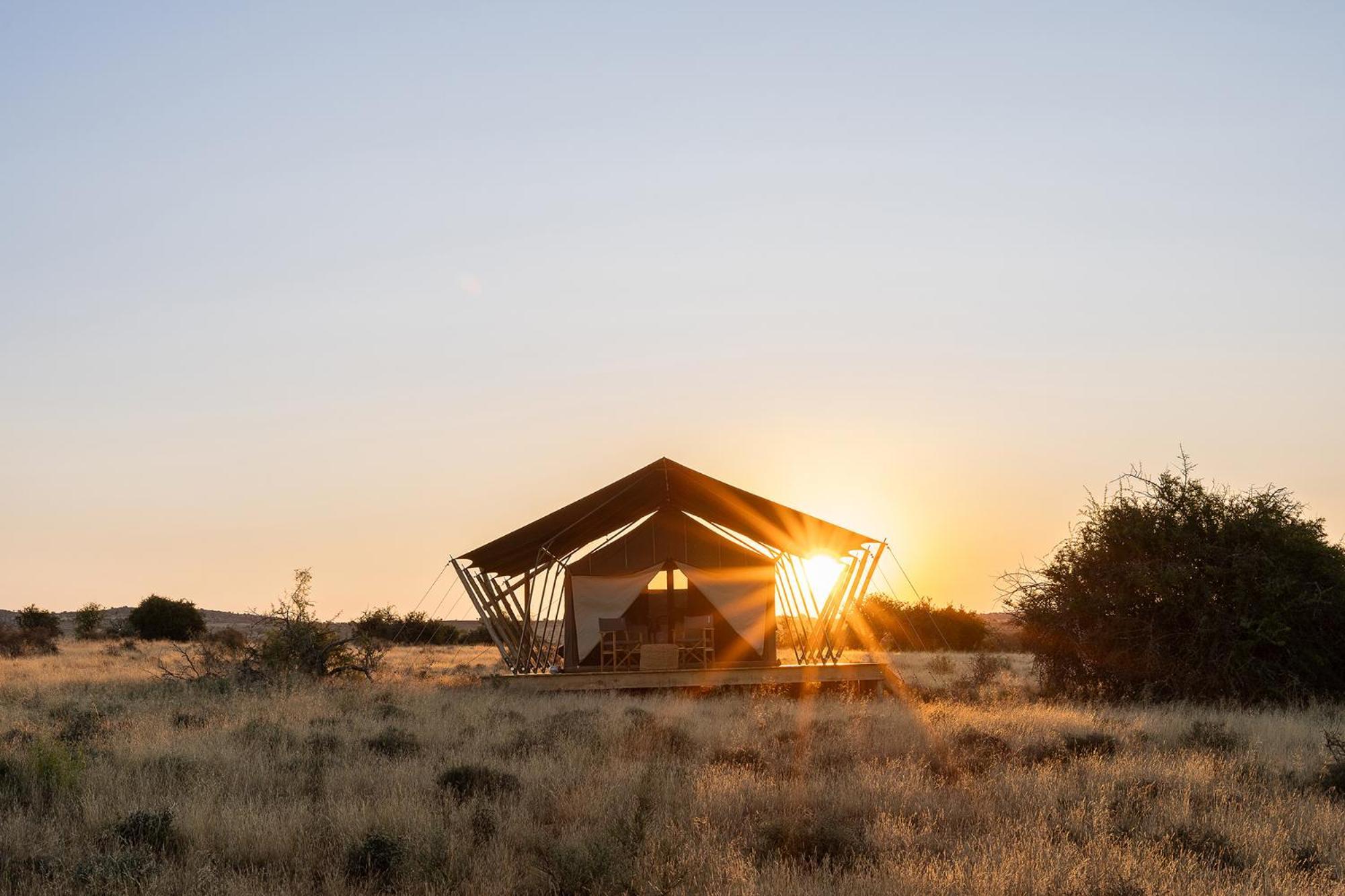 Samara Karoo Reserve Graaff-Reinet المظهر الخارجي الصورة